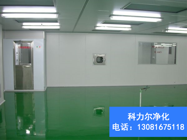 濰坊印刷包裝凈化車(chē)間