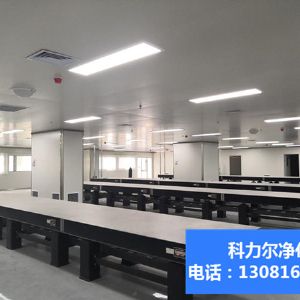 電子芯片車間科技無塵凈化車間