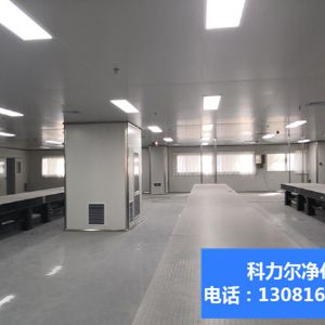 電子芯片車間科技無塵凈化車間